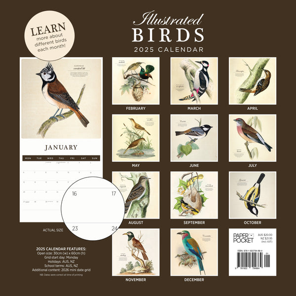 Illustrated Birds Calendar 2025 Monthly Overview