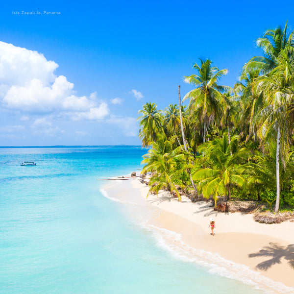 Island Life Calendar 2025 Internal Image