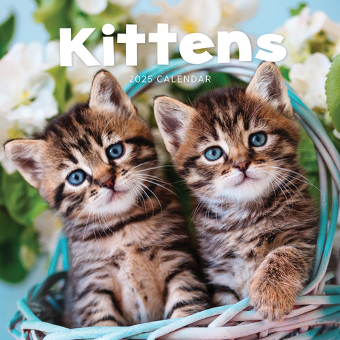 Kittens Calendar 2025 Cover