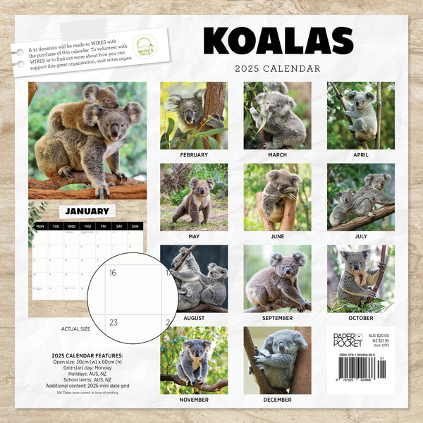 Koalas Calendar 2025 Monthly Overview
