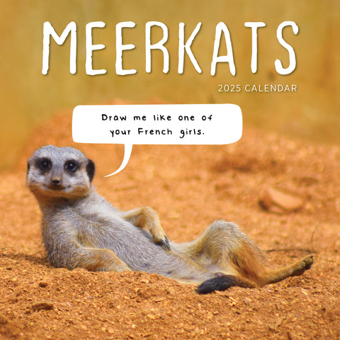 Meerkats Calendar 2025 Cover