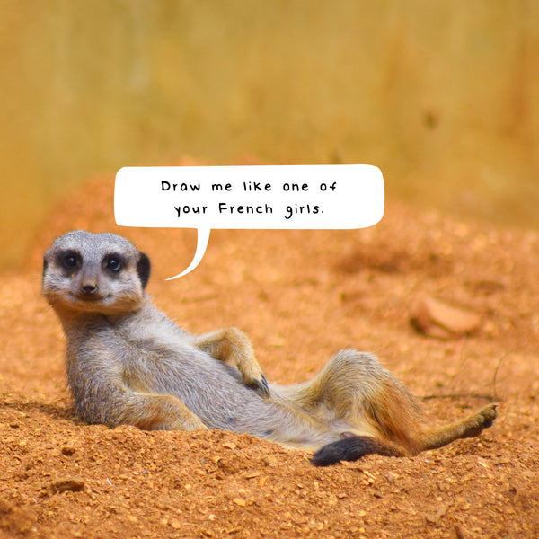 Meerkats Calendar 2025 Internal Image