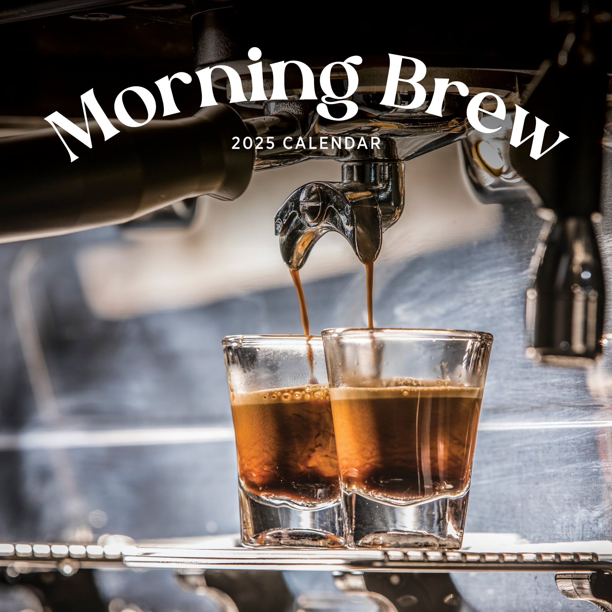 Morning Brew Calendar 2025 Cover