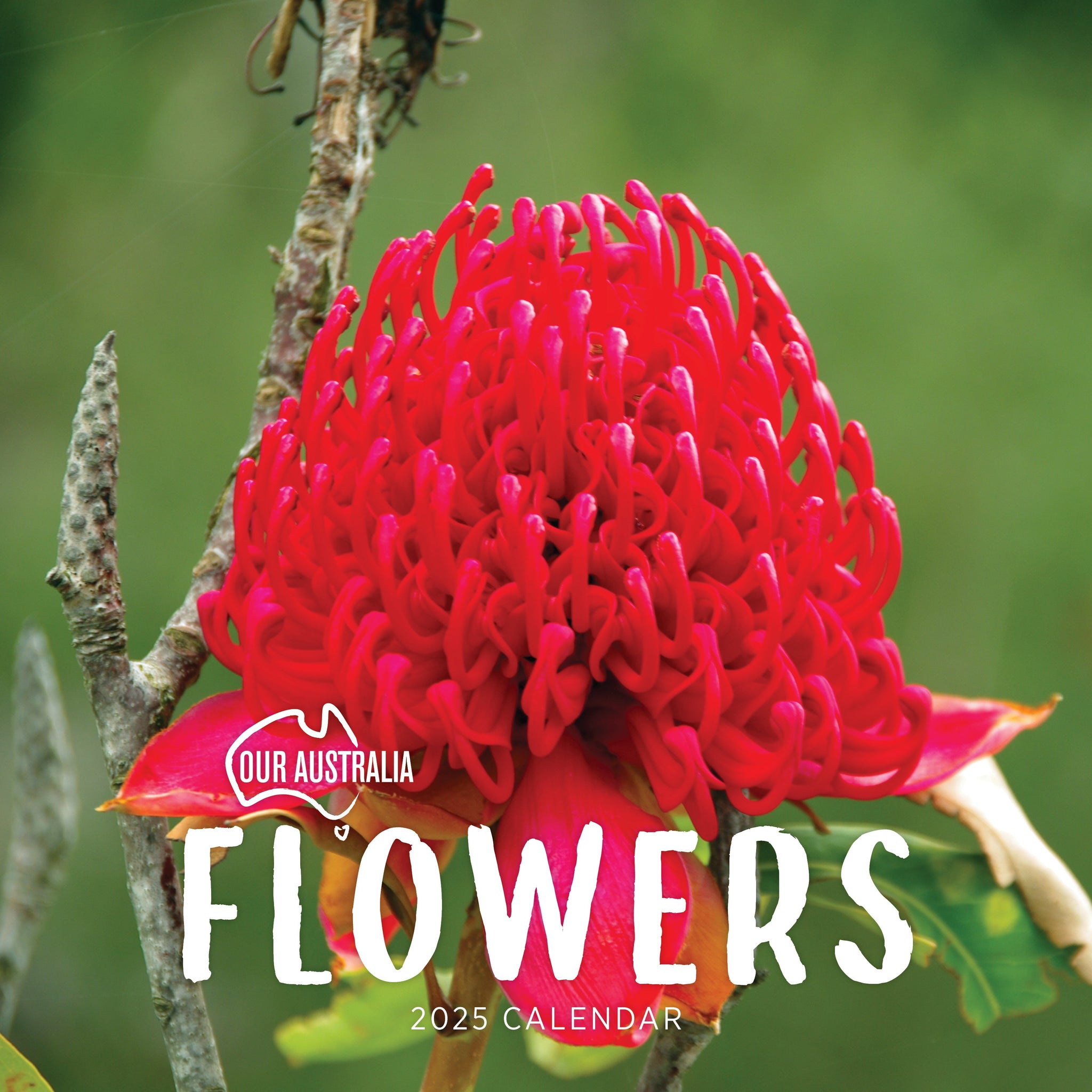 Our Aust. Flowers Calendar 2025 Cover