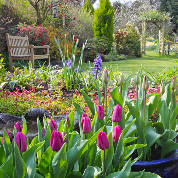 Our Aust. Life is a Garden Calendar 2025 Internal Image