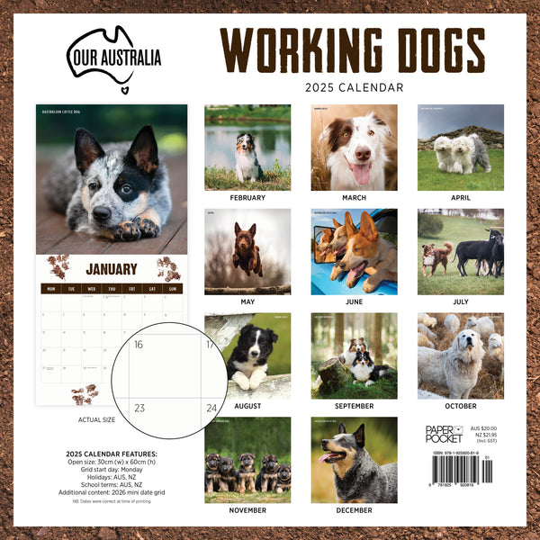 Our Aust. Working Dogs Calendar 2025 Monthly Overview