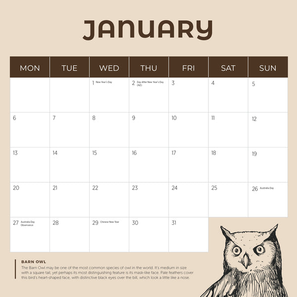 Owls Calendar 2025 January