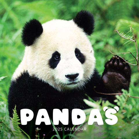 Pandas Calendar 2025 Cover