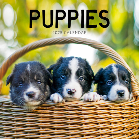 Puppies Calendar 2025 Cover