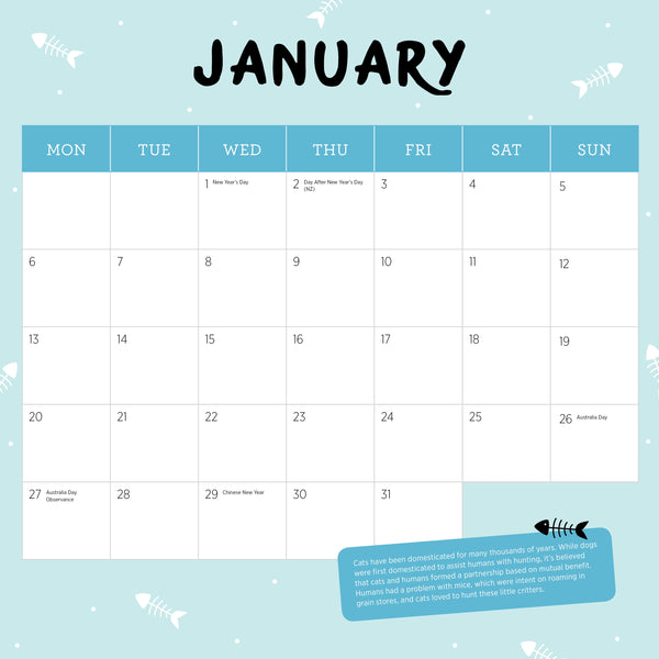 Ragdolls Calendar 2025 January