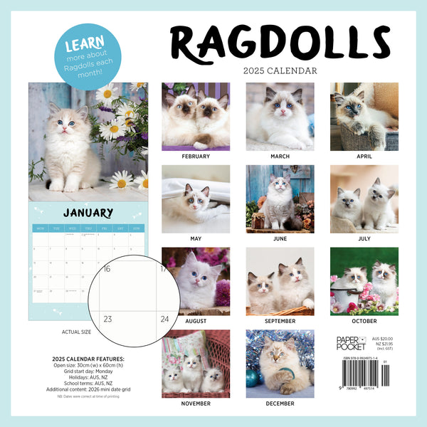 Ragdolls Calendar 2025 Monthly Overview