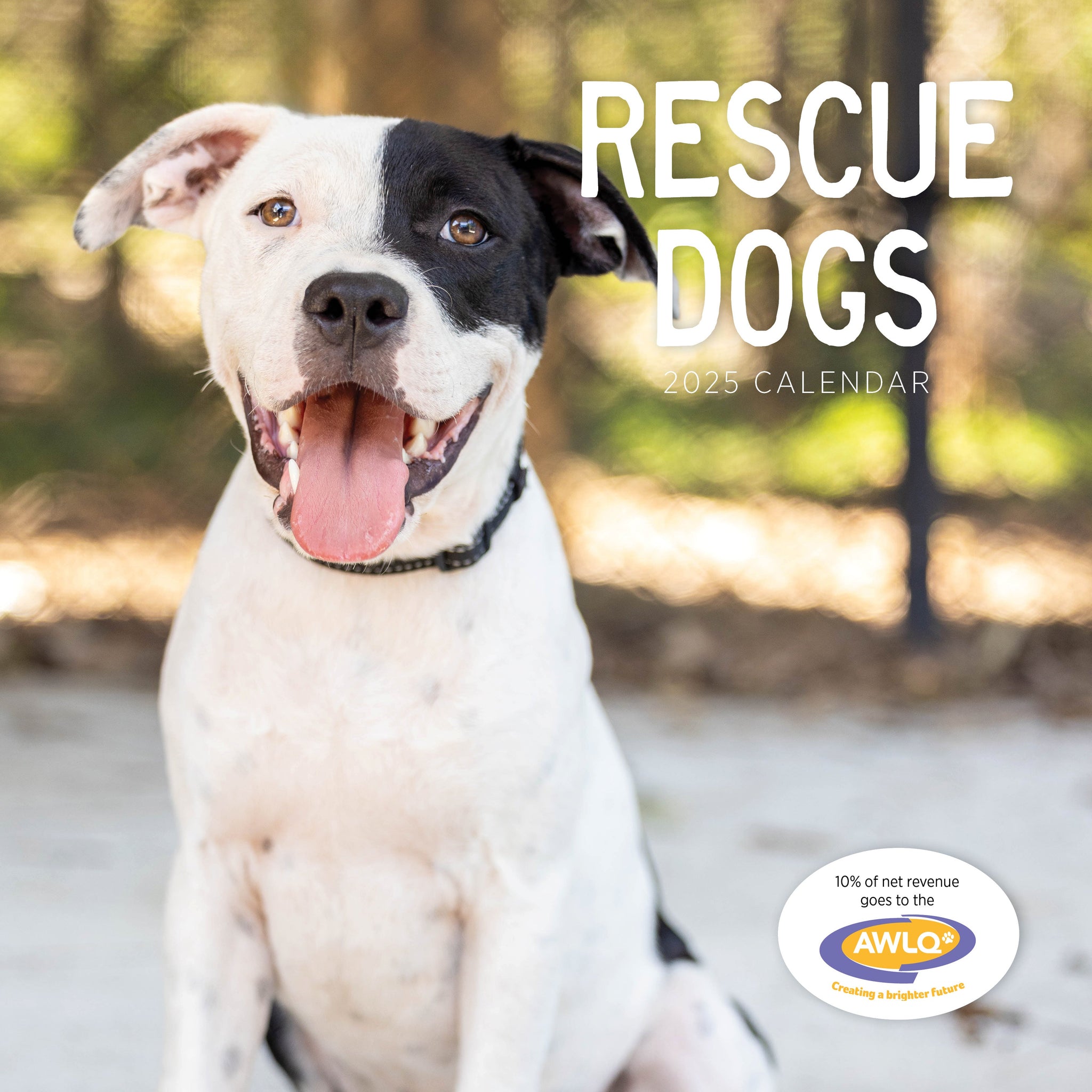 Rescue Dogs Calendar 2025 Cover