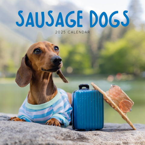 Sausage Dogs Calendar 2025 Cover