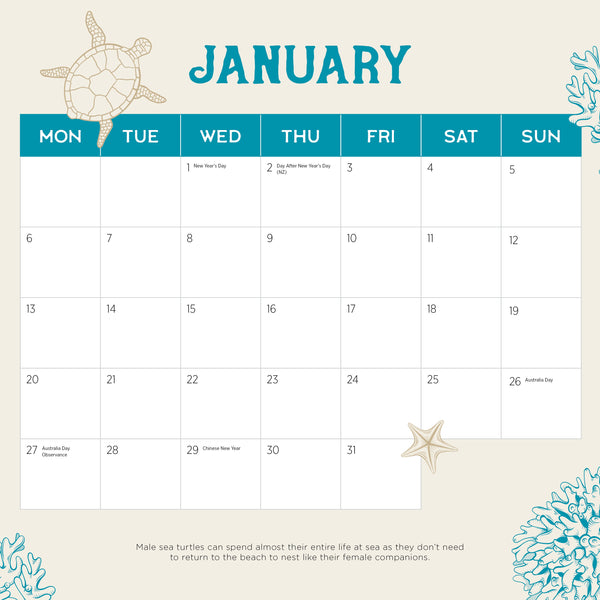Sea Turtles Calendar 2025 January