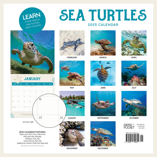 Sea Turtles Calendar 2025 Monthly Overview