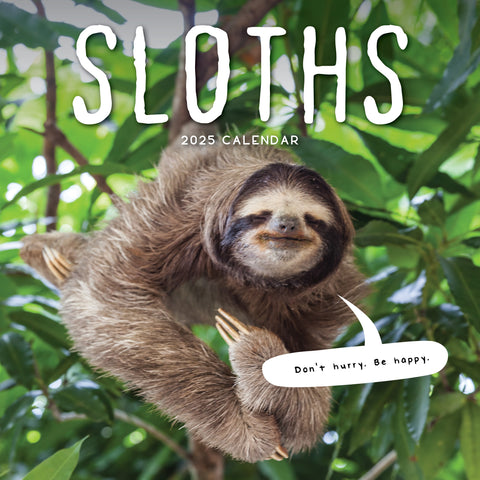 Sloths Calendar 2025 Cover