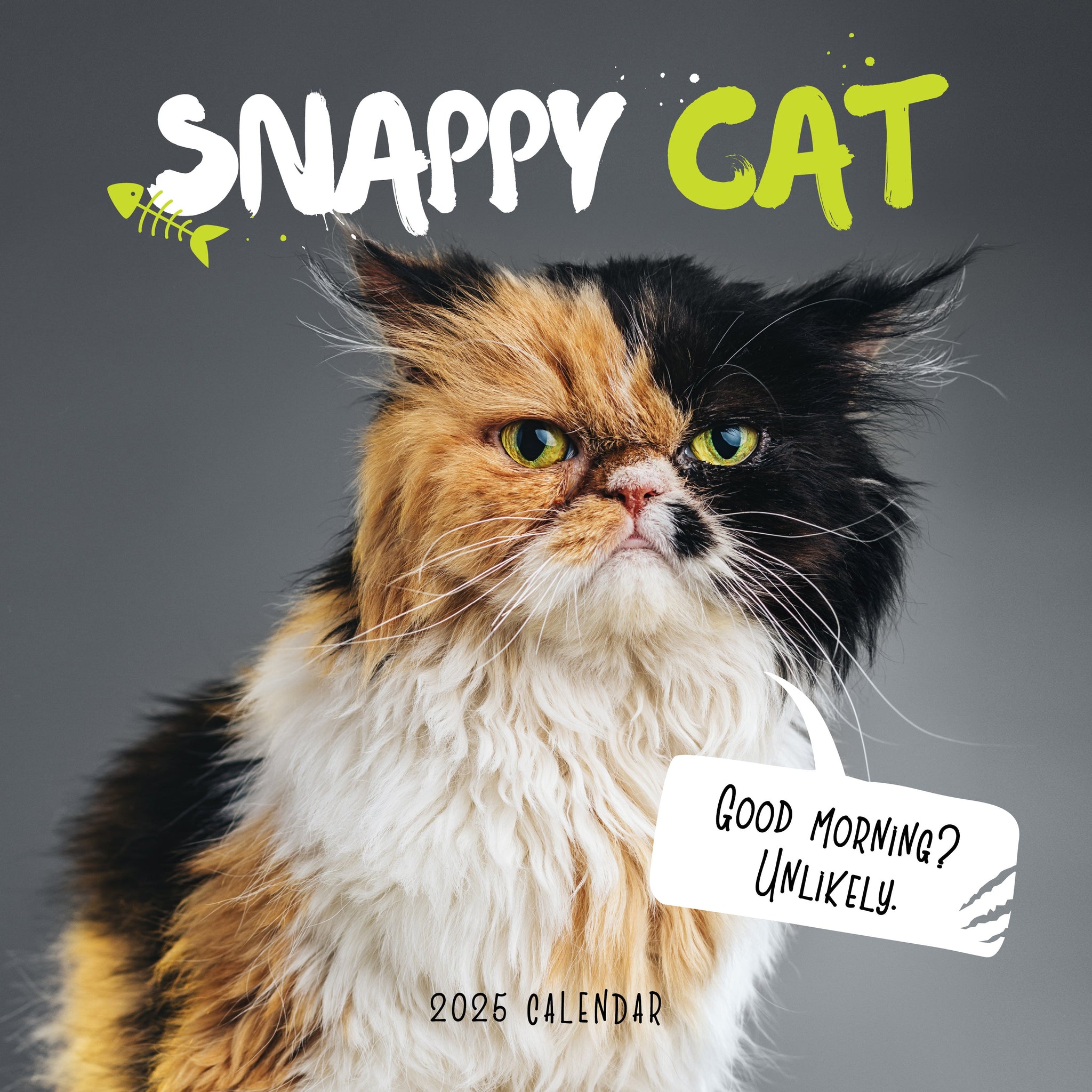 Snappy Cat Calendar 2025 Cover