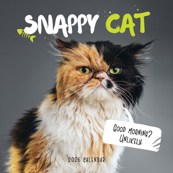 Snappy Cat Calendar 2025 Cover