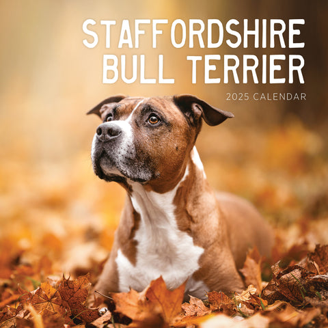 Staffordshire Bull Terrier Calendar 2025 Cover