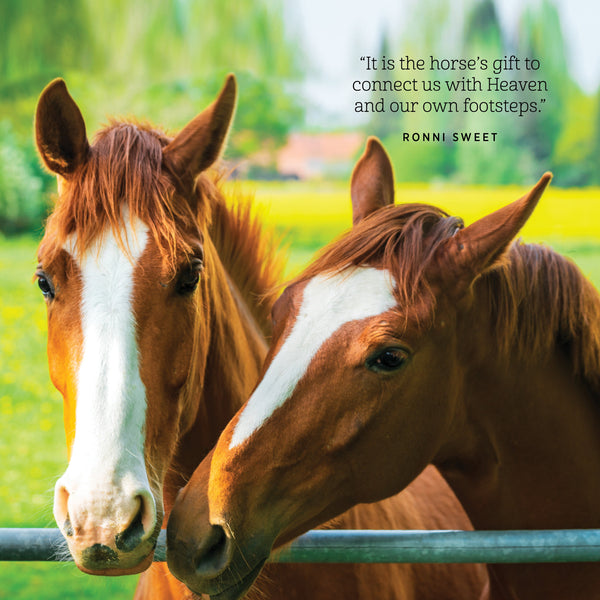 The Love of a Horse Calendar 2025 Internal Image