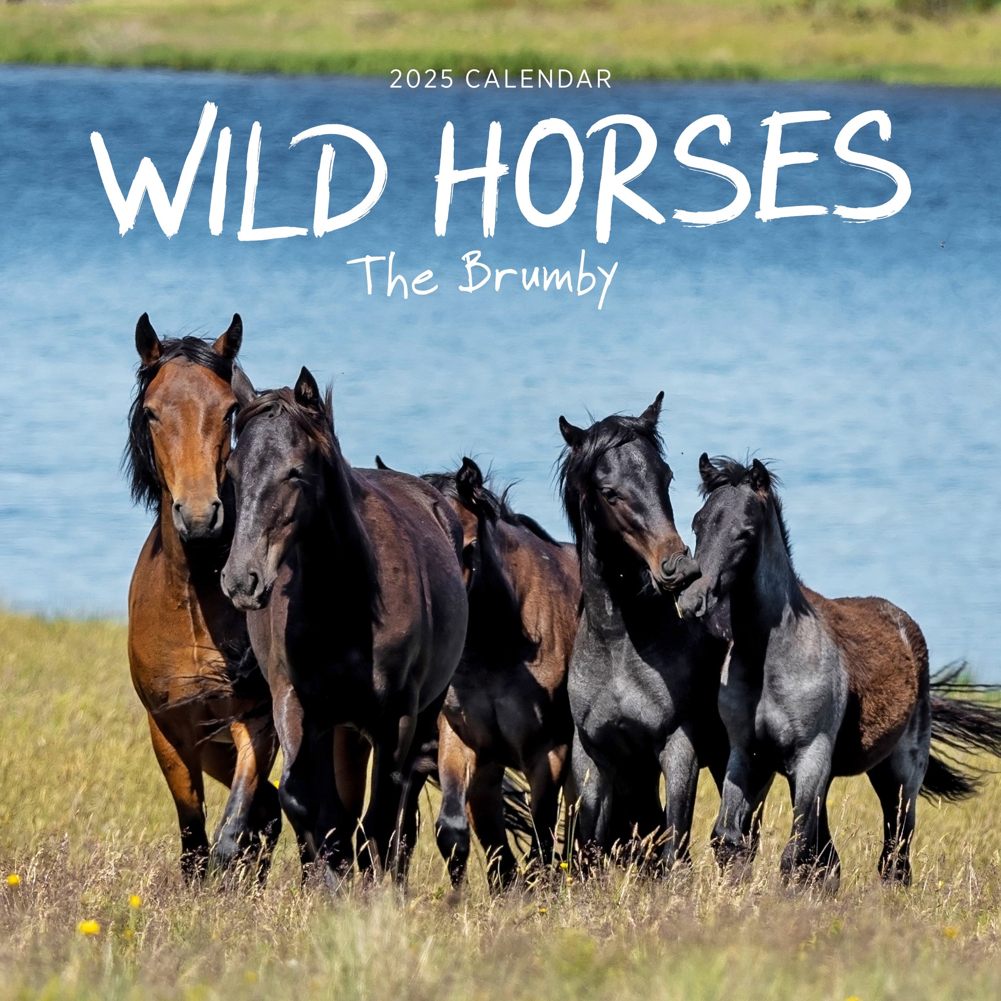 Wild Horses Calendar 2025 Cover