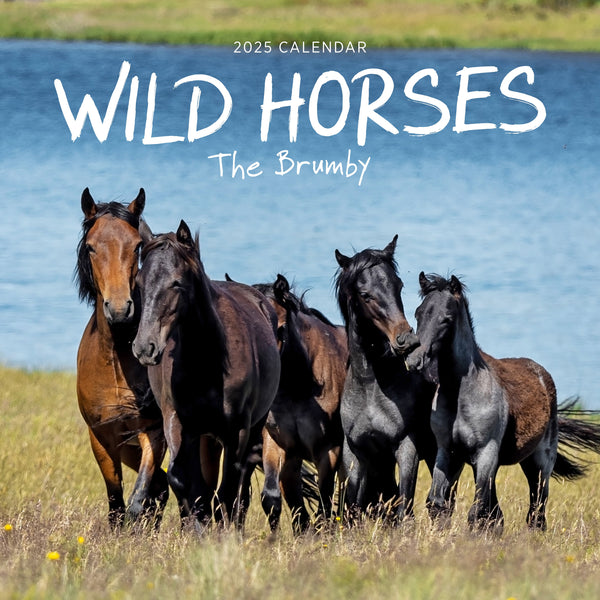 Wild Horses Calendar 2025 Cover