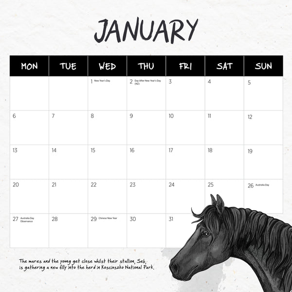 Wild Horses Calendar 2025 January