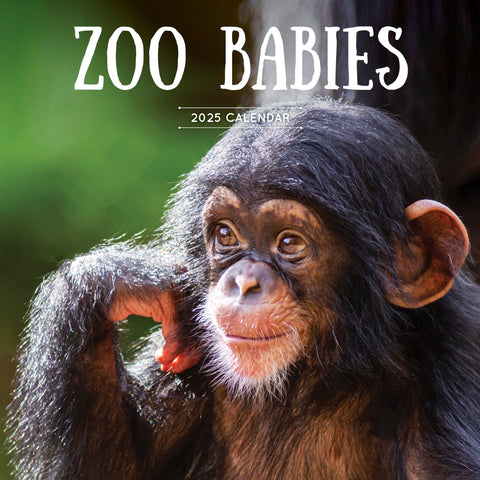 Zoo Babies Calendar 2025 Cover