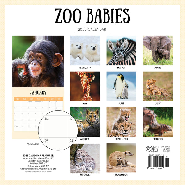 Zoo Babies Calendar 2025 Monthly Overview