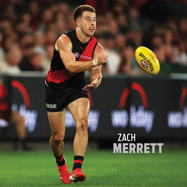 Afl Essendon Bombers 2026 Calendar Internal Image