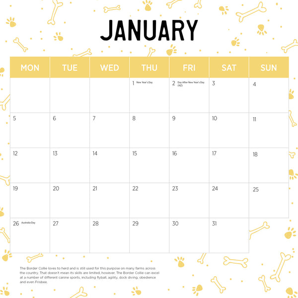Border Collies 2026 Calendar January
