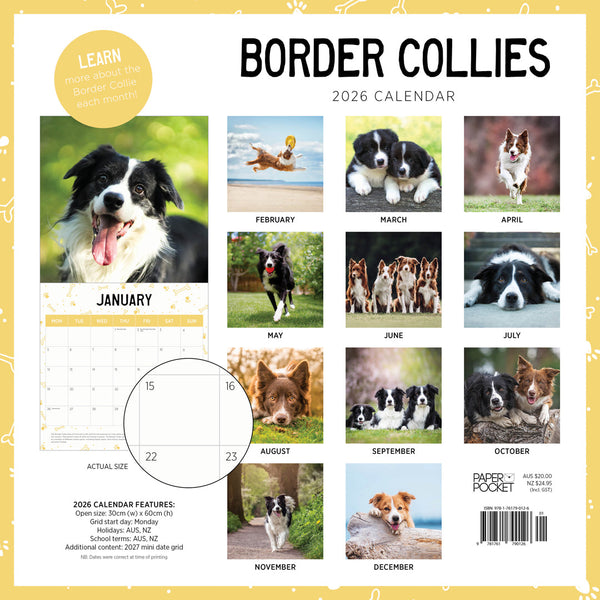 Border Collies 2026 Calendar Monthly Overview