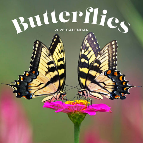 Butterflies 2026 Calendar Cover