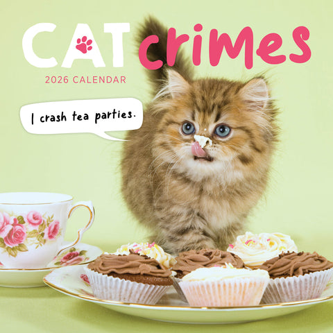 Cat Crimes 2026 Calendar Cover