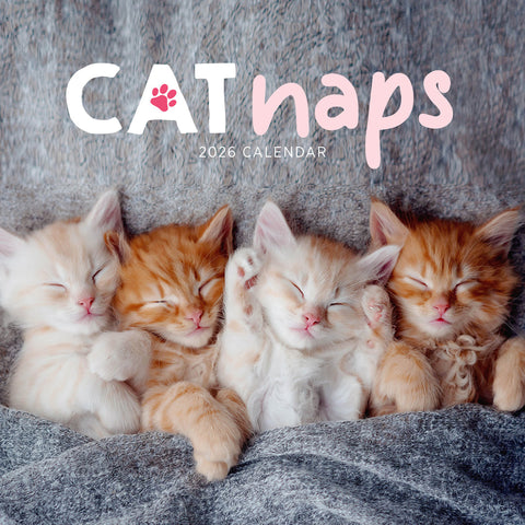 Cat Naps 2026 Calendar Cover