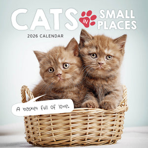 Cats In Small Places 2026 Calendar Cover