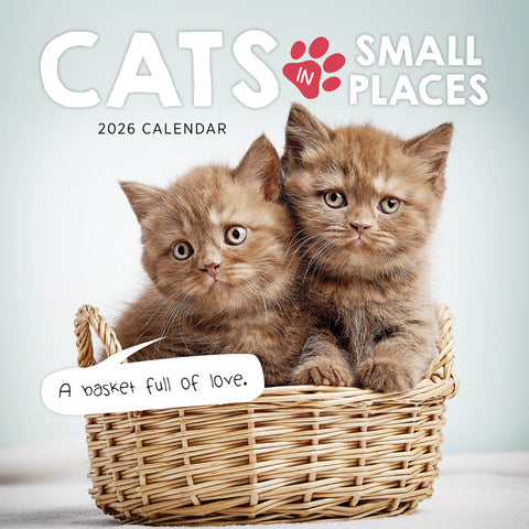 Cats In Small Places 2026 Calendar Cover