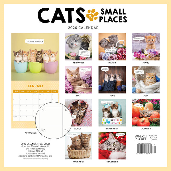 Cats In Small Places 2026 Calendar Monthly Overview
