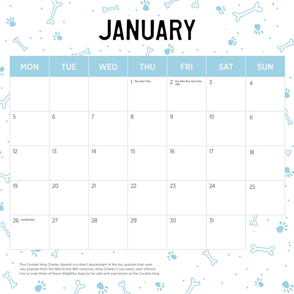 Cavalier King Charles Spaniel 2026 Calendar January