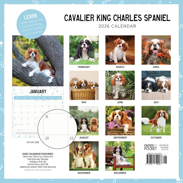 Cavalier King Charles Spaniel 2026 Calendar Monthly Overview
