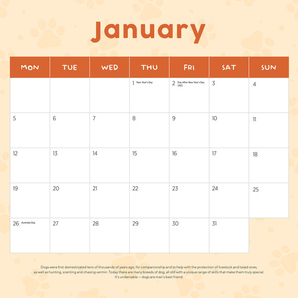 Cavoodles 2026 Calendar January