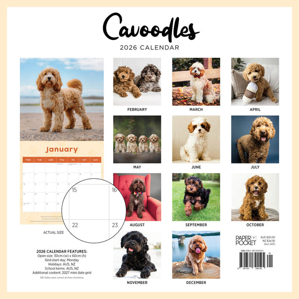 Cavoodles 2026 Calendar Back Cover