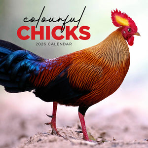 Colourful Chicks 2026 Calendar Cover