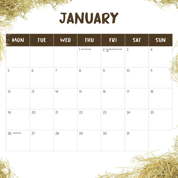 Colourful Chicks 2026 Calendar January