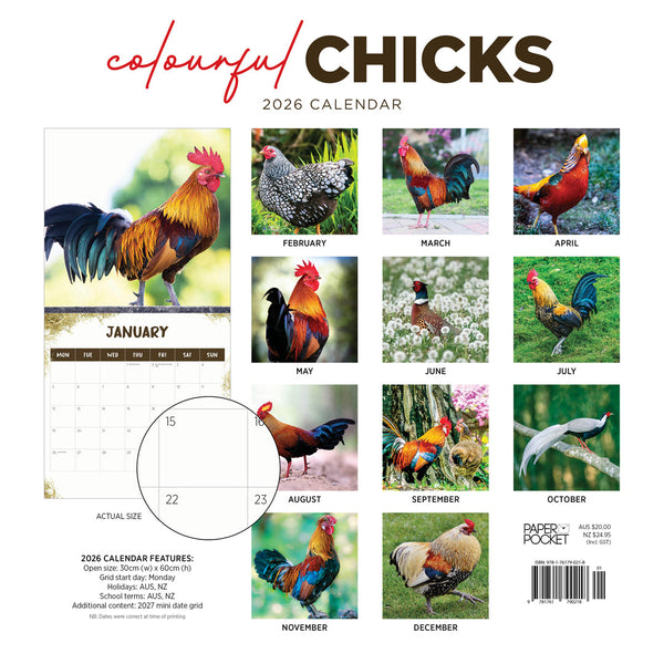 Colourful Chicks 2026 Calendar Monthly Overview
