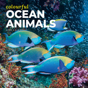 Colourful Ocean Animals 2026 Calendar Cover