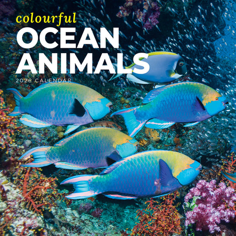 Colourful Ocean Animals 2026 Calendar Cover