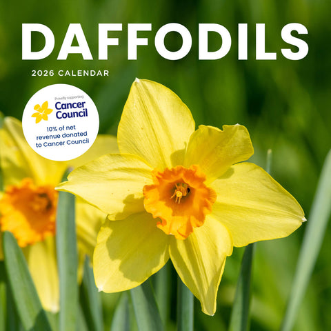 Daffodils Cancer Council 2026 Calendar Cover