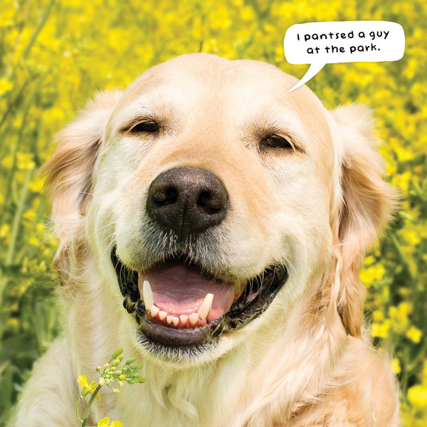 Doggy Shenanigans 2026 Calendar Internal Image