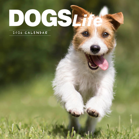 Dogs Life 2026 Calendar Cover